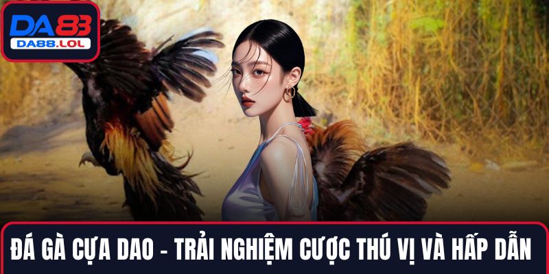 đá gà cựa dao