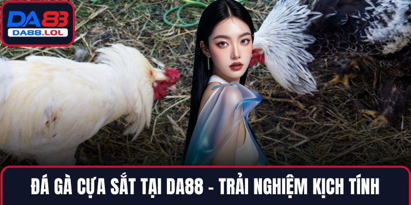 Đá gà cựa sắt