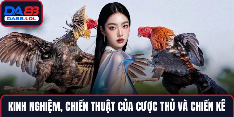 Kinh nghiệm, chiến thuật của cược thủ và chiến kê