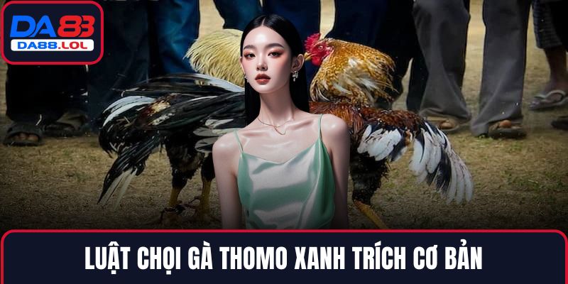 Luật chọi gà thomo xanh trích cơ bản