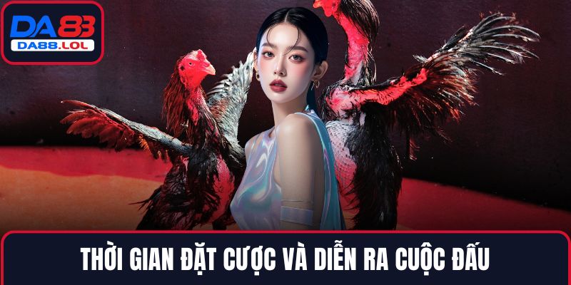 Thời gian đặt cược và diễn ra cuộc đấu
