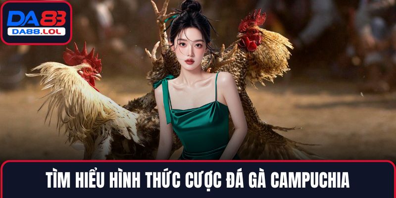 Tìm hiểu hình thức cược đá gà Campuchia