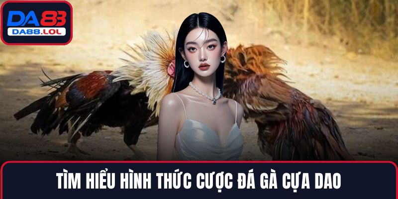 Tìm hiểu hình thức cược đá gà cựa dao
