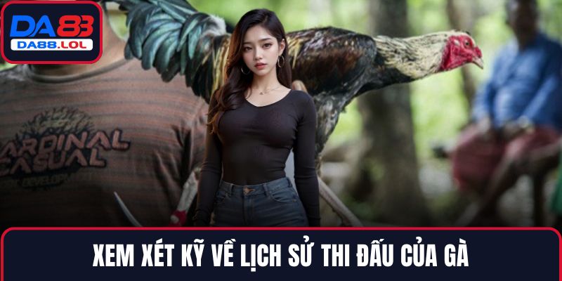 Xem xét kỹ về lịch sử thi đấu của gà